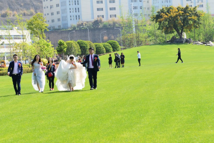 重庆云阳：城市当成公园建，绿色婚礼倡低碳