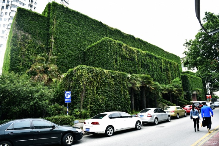江苏：南京大学校园建筑披挂“绿色外套”